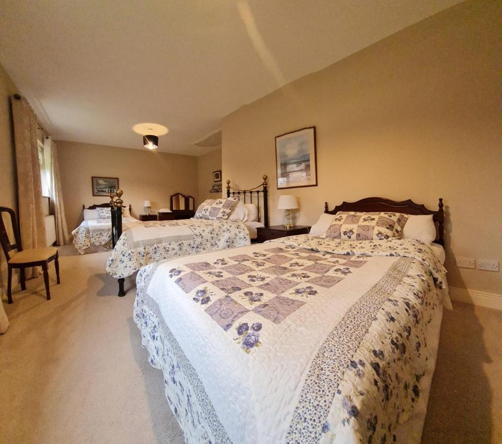 Tinahely Yellow Heights Country House מראה חיצוני תמונה